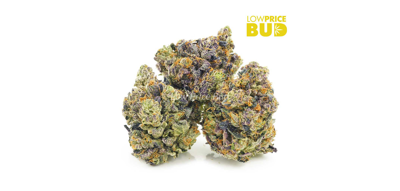photo of death punch strain weed for sale. buy cheap bud online in canada from low price bud