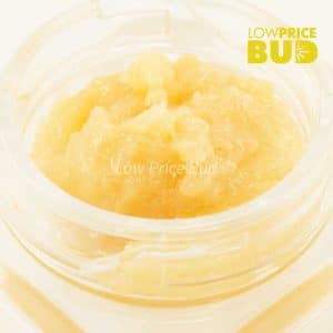 Live Resin – Jack Herer Buy Live Resin – Jack Herer online Canada