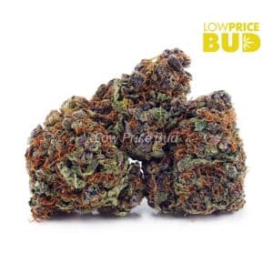 Purple Haze (AAA) Buy Purple Haze (AAA) online Canada