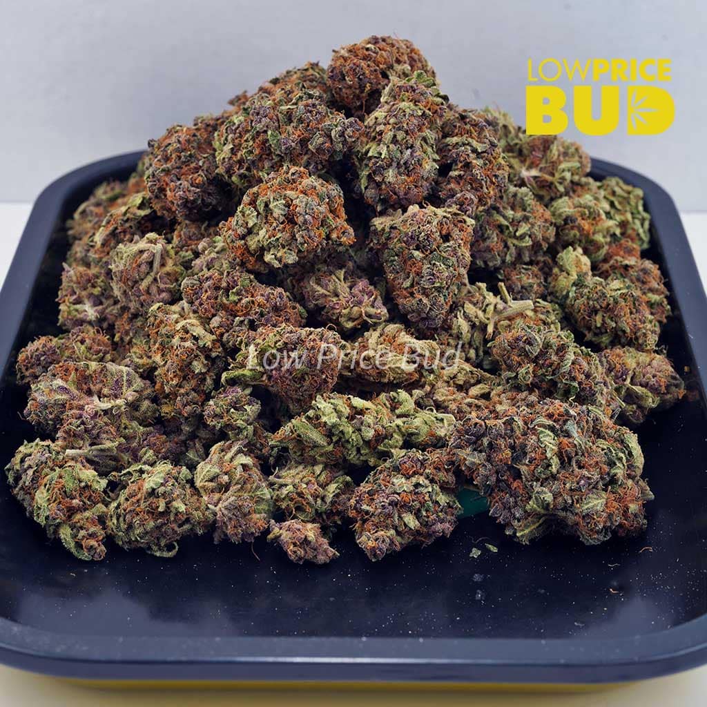 Purple Haze (AAA) Buy Purple Haze (AAA) online Canada