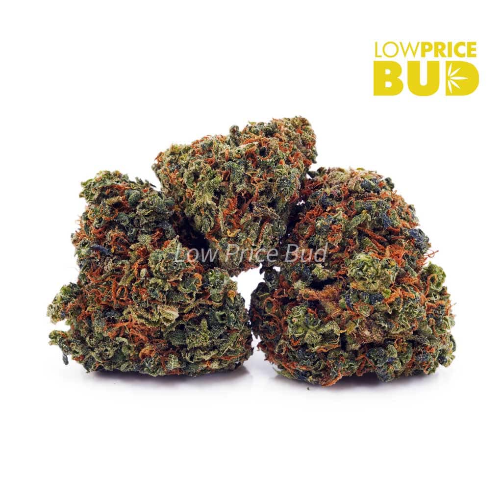 Super Lemon Haze (AAA) Buy Super Lemon Haze (AAA) online Canada