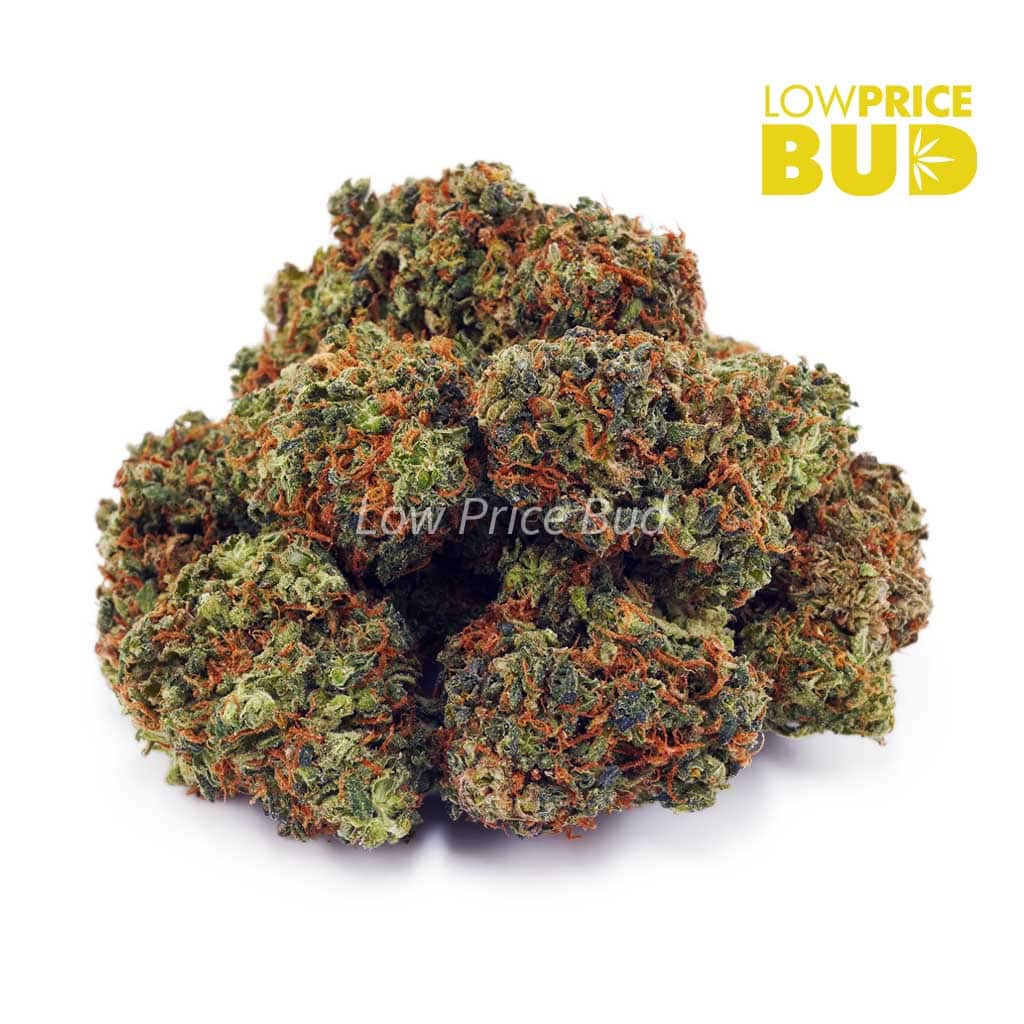 Super Lemon Haze (AAA) Buy Super Lemon Haze (AAA) online Canada