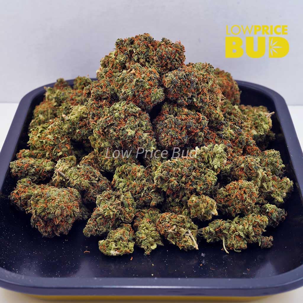 Super Lemon Haze (AAA) Buy Super Lemon Haze (AAA) online Canada