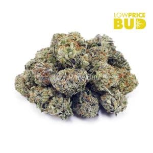 Buy Tuna Kush (AAA) online Canada