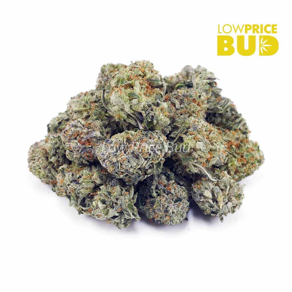 Tuna Kush (AAA) Buy Tuna Kush (AAA) online Canada