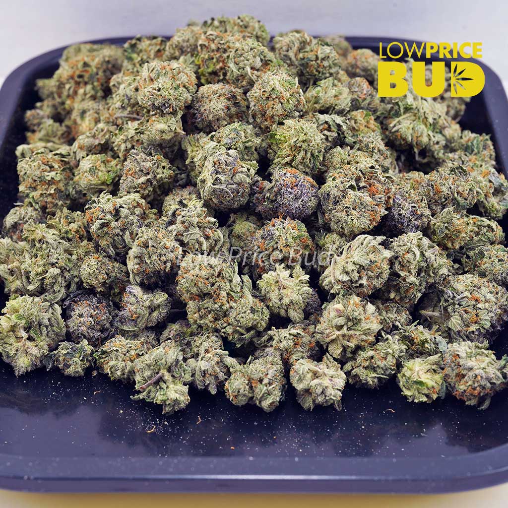 Tuna Kush (AAA) Buy Tuna Kush (AAA) online Canada