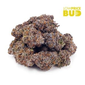 Purple Kush (AA) Buy Purple Kush (AA) online Canada