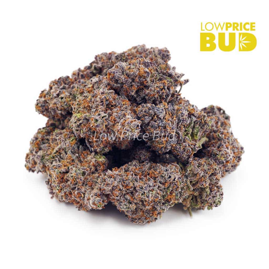 Purple Kush (AA) Buy Purple Kush (AA) online Canada