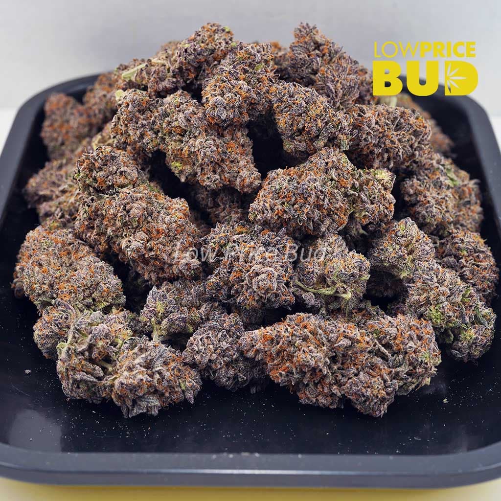 Purple Kush (AA) Buy Purple Kush (AA) online Canada
