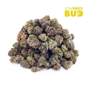 Biochem (AAAA) – Popcorn Nugs Buy Biochem (AAAA) – Popcorn Nugs online Canada
