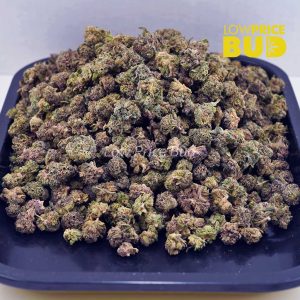 Biochem (AAAA) – Popcorn Nugs Buy Biochem (AAAA) – Popcorn Nugs online Canada