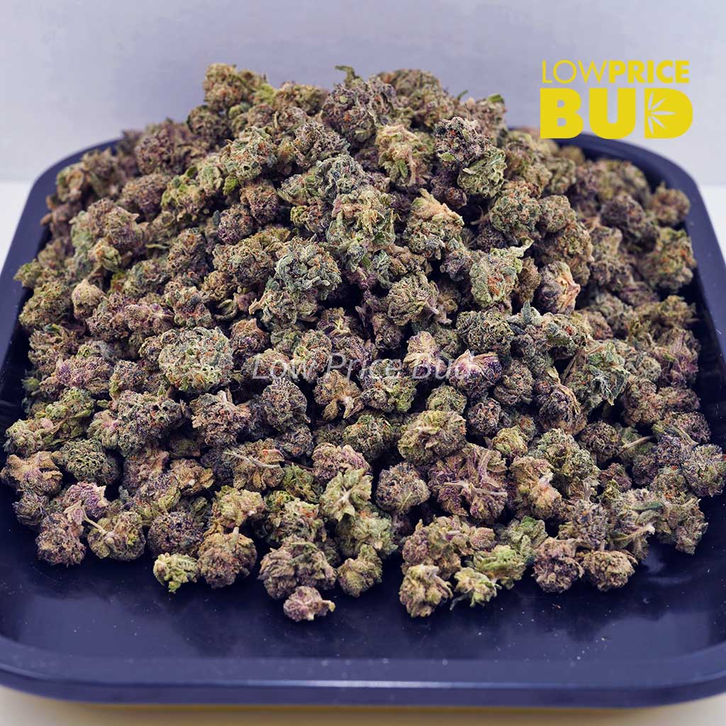 Biochem (AAAA) – Popcorn Nugs Buy Biochem (AAAA) – Popcorn Nugs online Canada