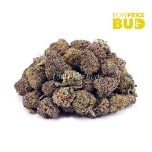 Jack Herer (AAAA) – Popcorn Nugs Buy Jack Herer (AAAA) – Popcorn Nugs online Canada