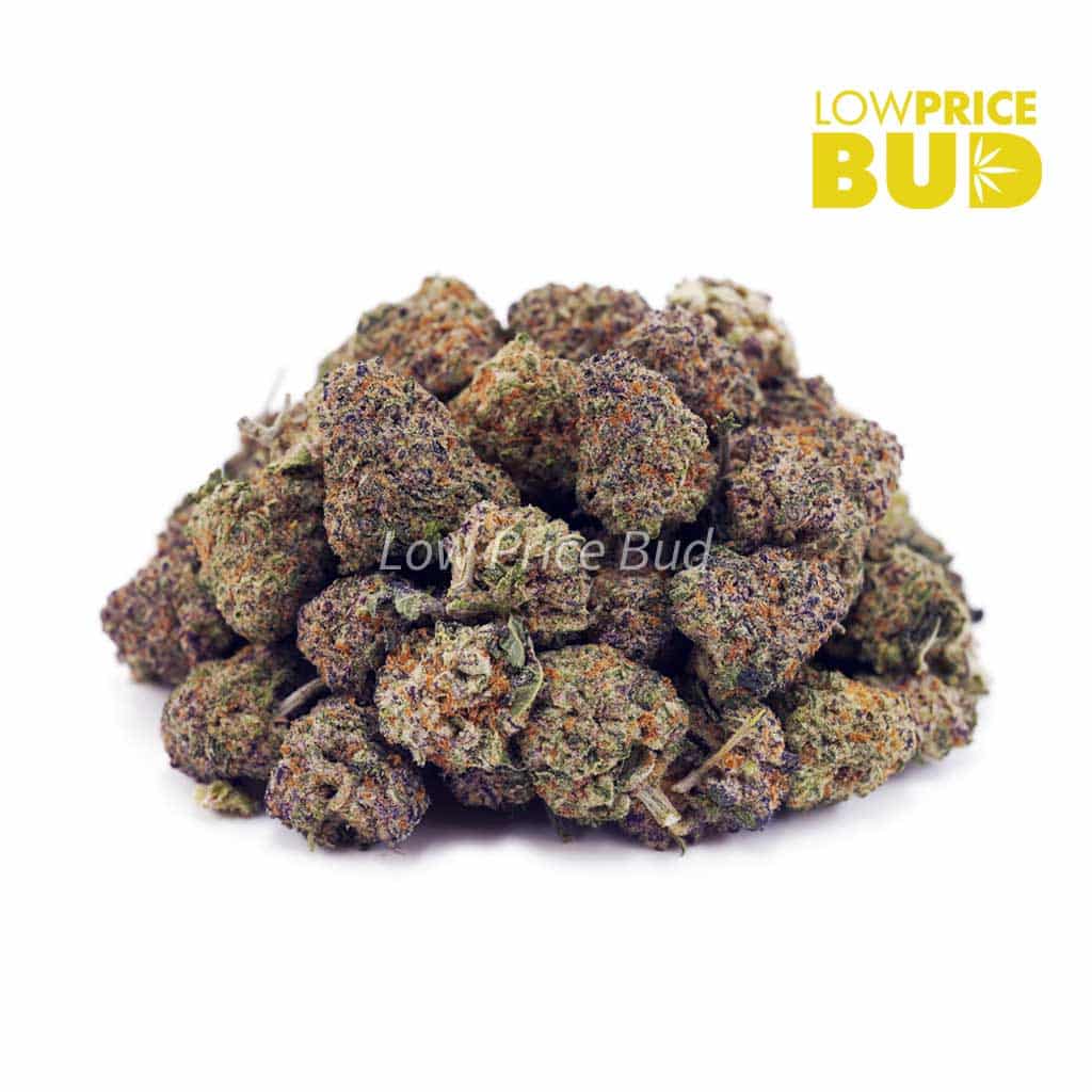 Jack Herer (AAAA) – Popcorn Nugs Buy Jack Herer (AAAA) – Popcorn Nugs online Canada