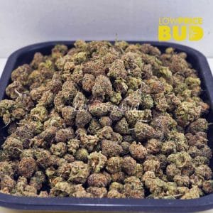 Jack Herer (AAAA) – Popcorn Nugs Buy Jack Herer (AAAA) – Popcorn Nugs online Canada