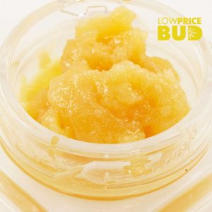 Buy Caviar – Gorilla Glue #4 online Canada