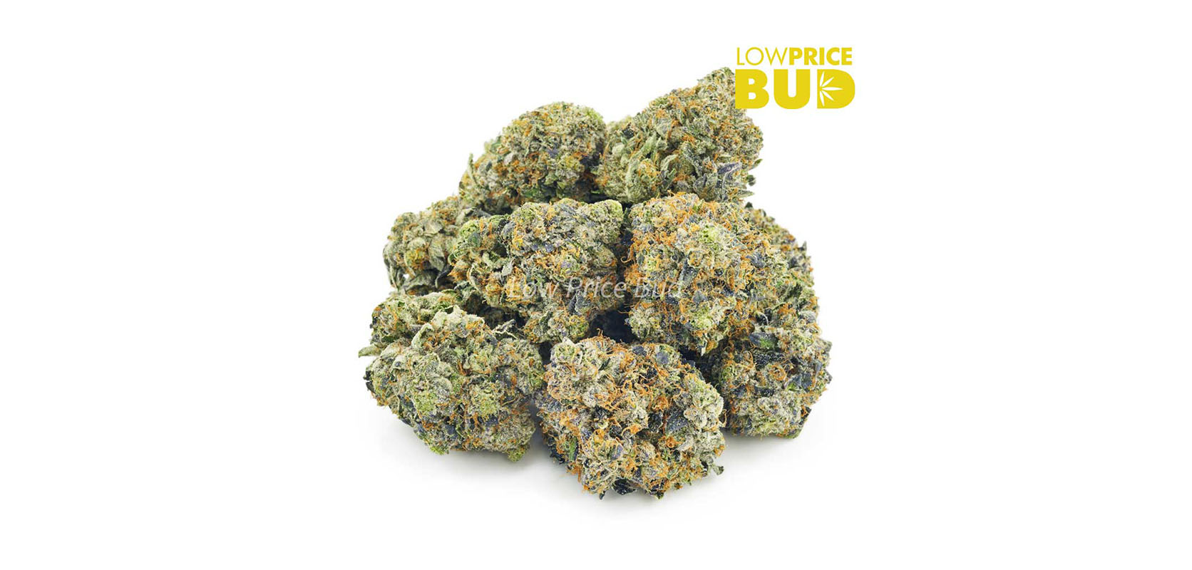 image of ice cream cake strain weed for sale from lowpricebud.co online dispensary for cheap weed in canada. buy pot online.