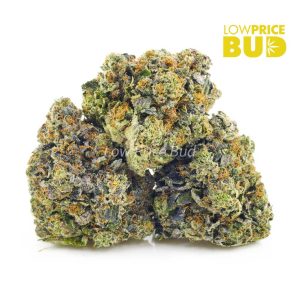 Buy Mimosa Breath (AAAA) online Canada