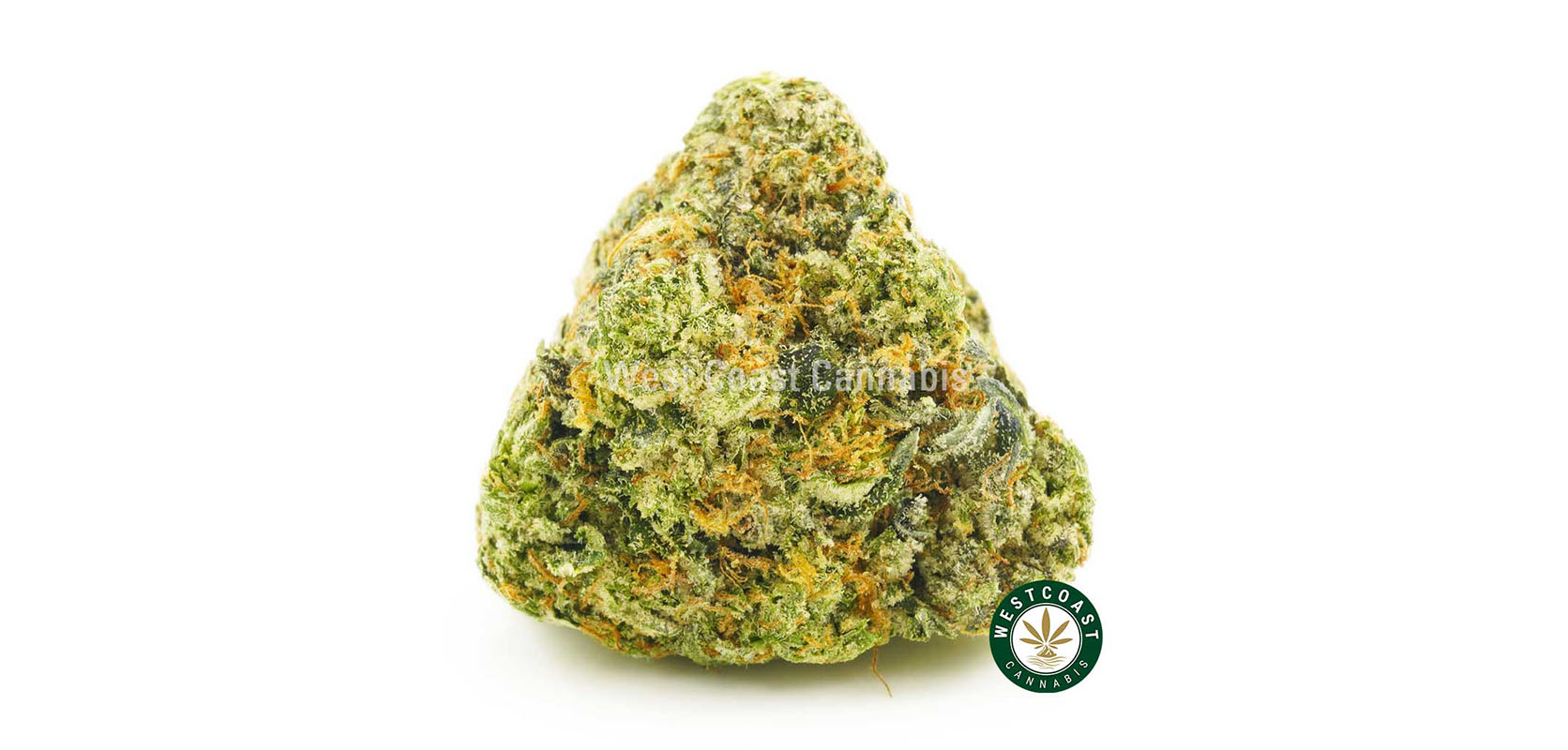 Image of pink tom ford strain weed nug. Buy weed online from west coast cannabis online dispensary.