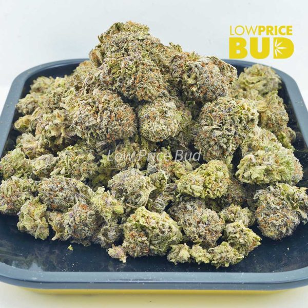 Buy Purple Passion (AAA) online Canada