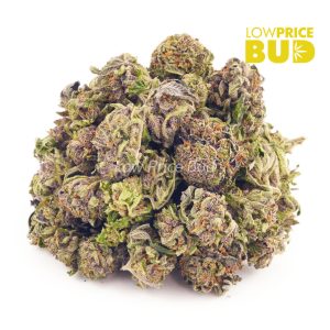 Buy Super Maui Wowie (AAAA) – Popcorn Nugs online Canada