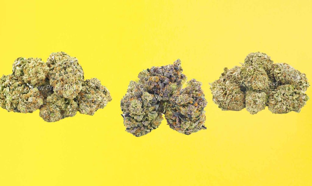 image of the best cheap weed strains to buy online in canada