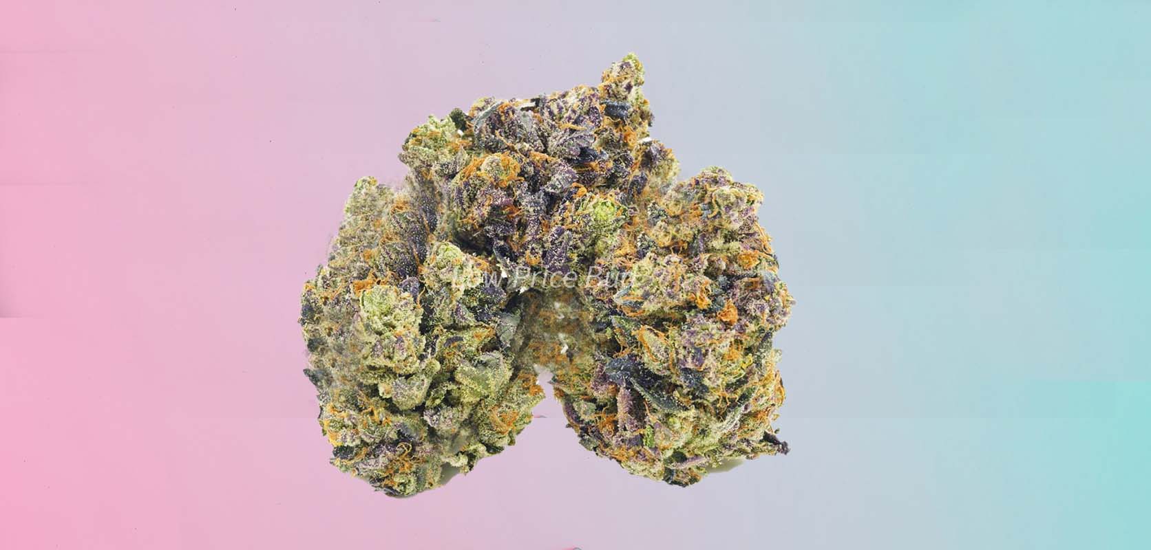 image of death punch strain cheap weed for sale. buy cheap weed online from low price bud canada.