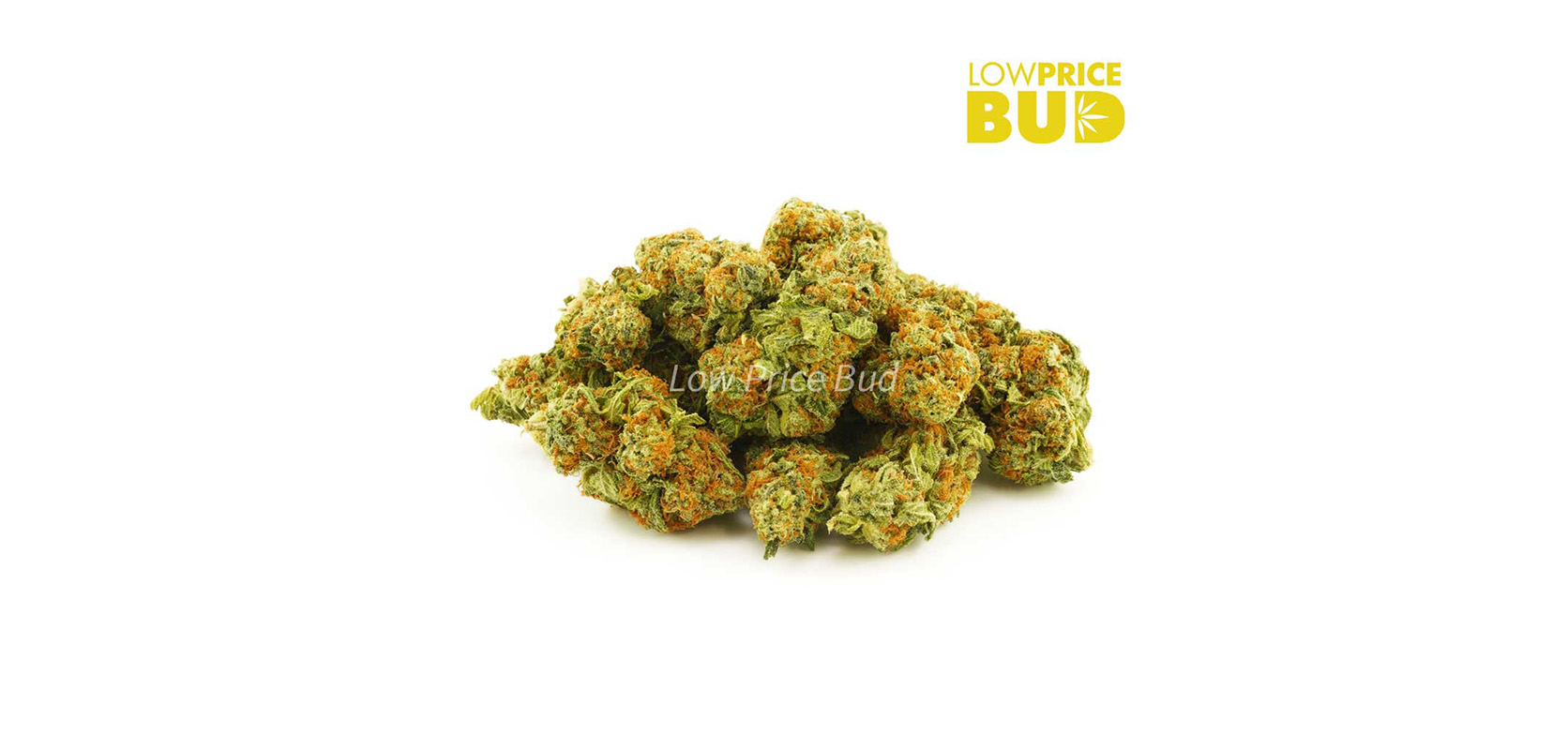 mimosa strain weed for sale from low price bud online dispensary to buy weed online in canada