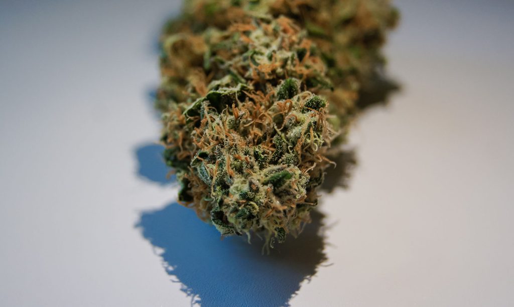 close up image of weed with orange hairs. what are the orange hairs on weed? buy weed online.