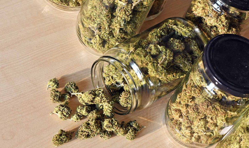 cannabis marijuana buds in a jar. Buy weed online.