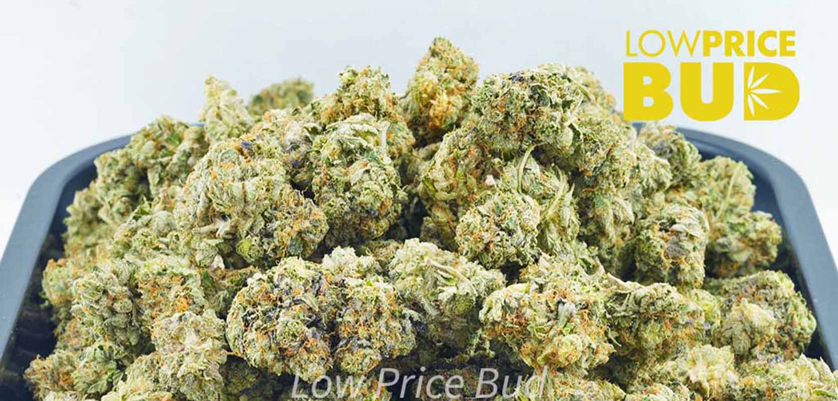 Image of a QP of weed for sale at the best online dispensary to buy weed online.