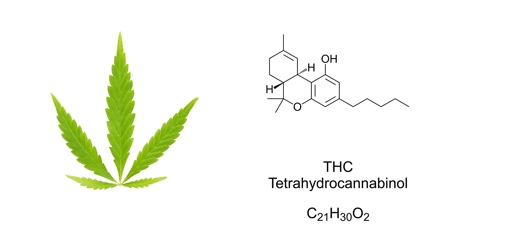 chemical diagram for THC concentrates. what are THC concentrates?
