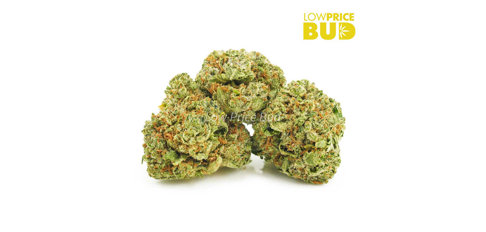 Buy cannabis online Blue God AAA weed strain from the best online dispensary and mail order marijuana weed online low price bud dispensary.