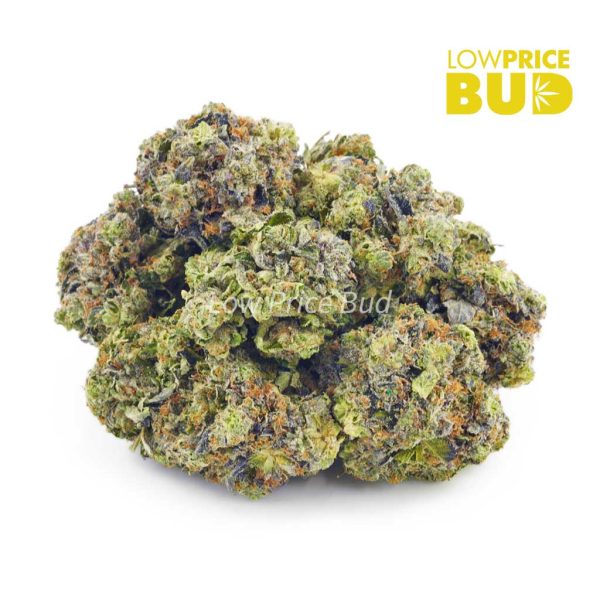Buy Cotton Candy Kush (AAAA) online Canada