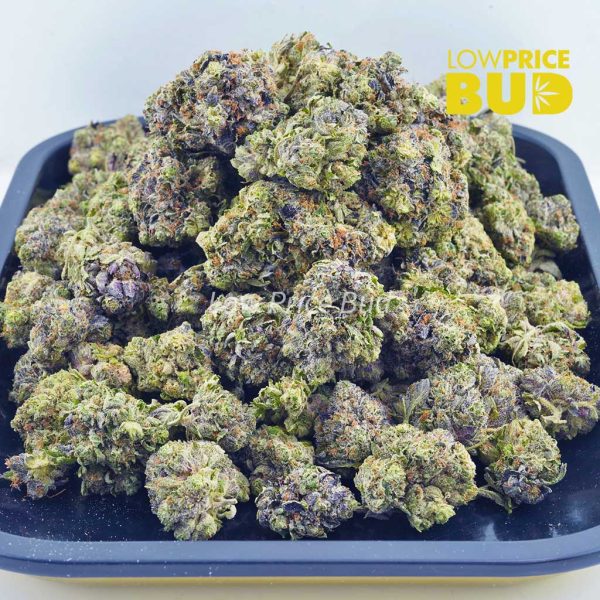 Buy Cotton Candy Kush (AAAA) online Canada
