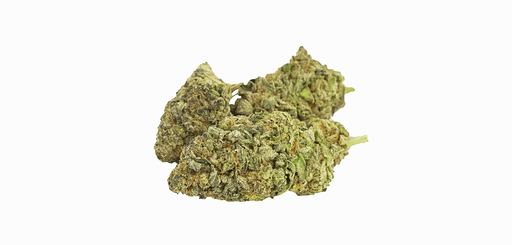 Comatose OG weed bud. Buy weed online in canada from cheap weed dispensary low price bud.