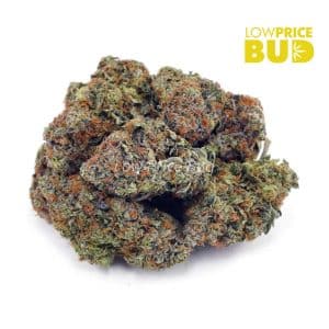 Jet Fuel (AAA) Buy Jet Fuel (AAA) online Canada