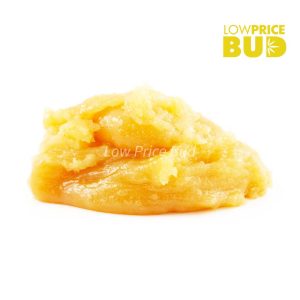 Buy Caviar – Purple Haze online Canada