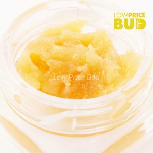 Buy Caviar – Purple Haze online Canada