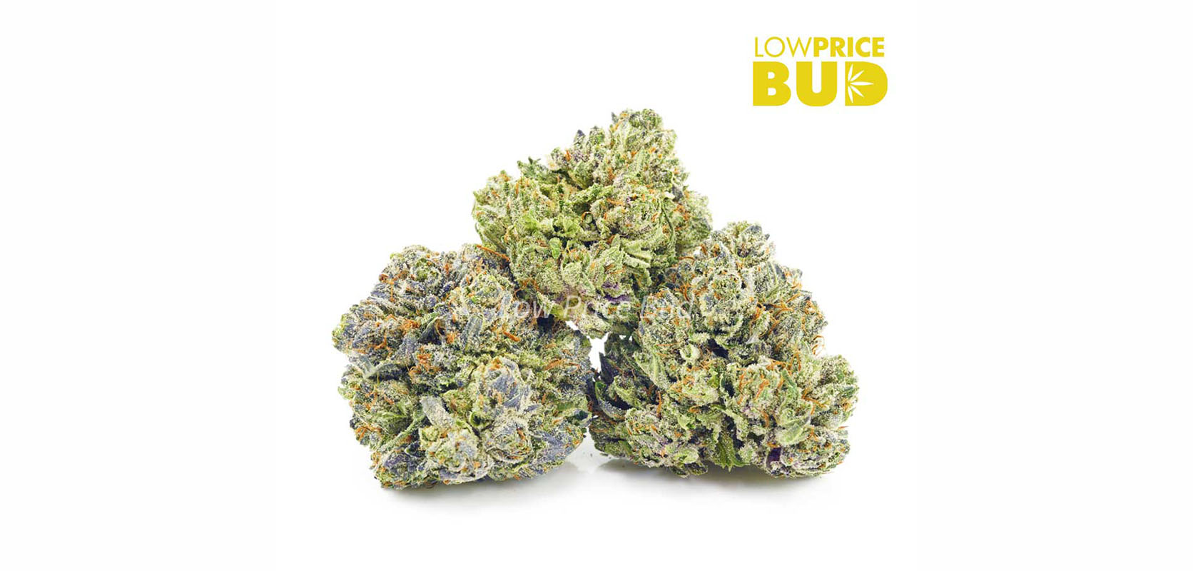 Order weed online High Octane OG AAAA weed from low price bud online dispensary in Canada for mail order marijuana.
