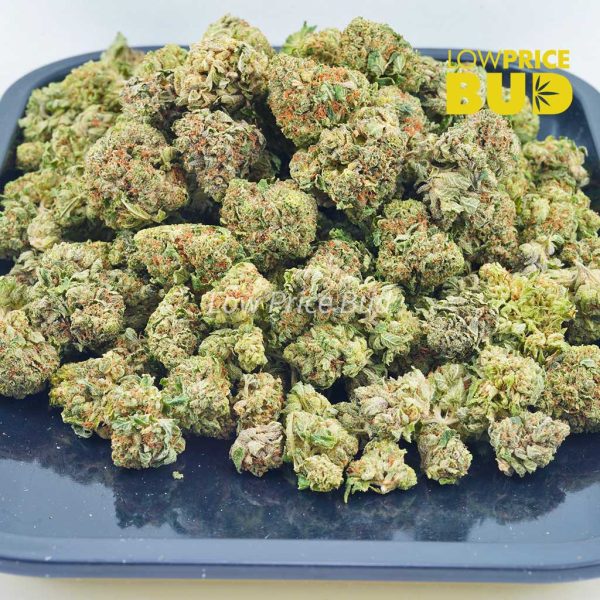 Buy Holy Grail (AAA) online Canada