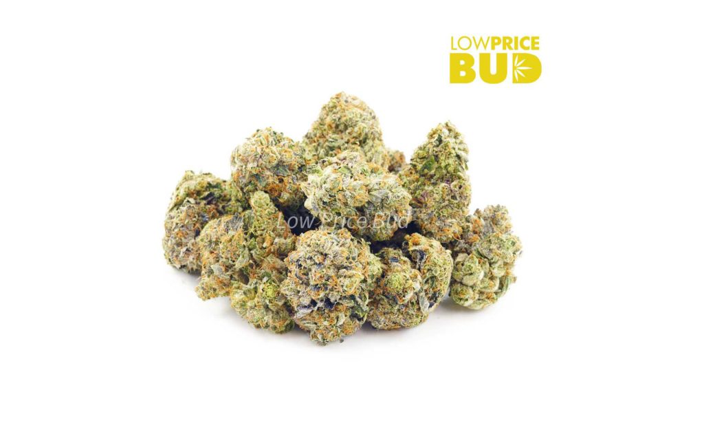 jelly breath strain weed review. weed online canada. order cannabis online. buy weed online.