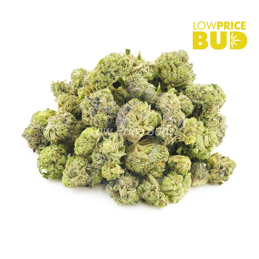 Ortega (AAAA) – Popcorn Nugs Buy Ortega (AAAA) – Popcorn Nugs online Canada