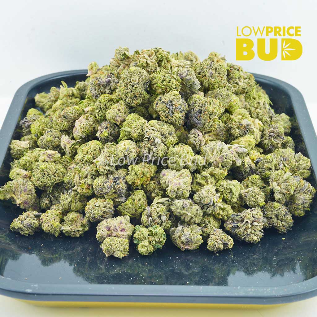 Ortega (AAAA) – Popcorn Nugs Buy Ortega (AAAA) – Popcorn Nugs online Canada