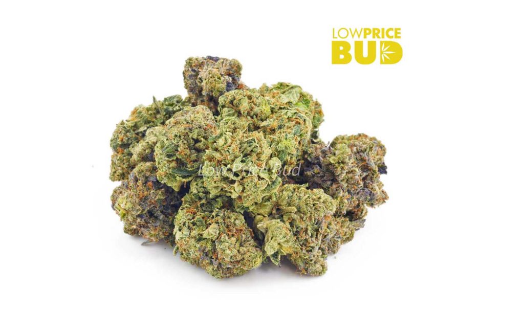 Image of Purple Haze Weed from online dispensary and mail order marijuana weed site low price bud.