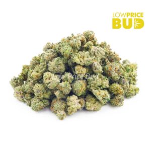 Buy Slurmint (AAAA) – Popcorn Nugs online Canada