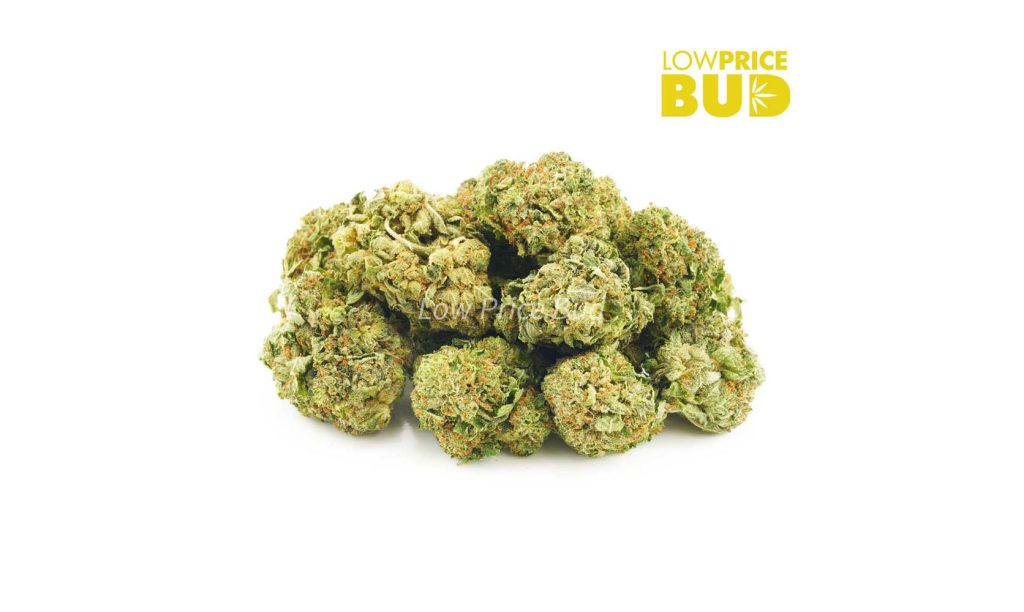 Buy Blue God strain weed online in Canada from Low Price Bud pot dispensary and mail order weed shop.