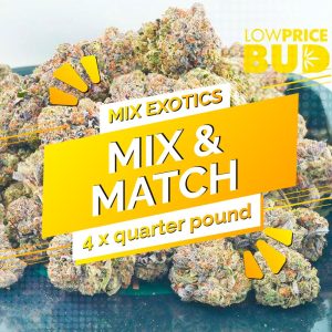 Buy Build Your Own (Craft Cannabis) Pound 4 x 112g online Canada