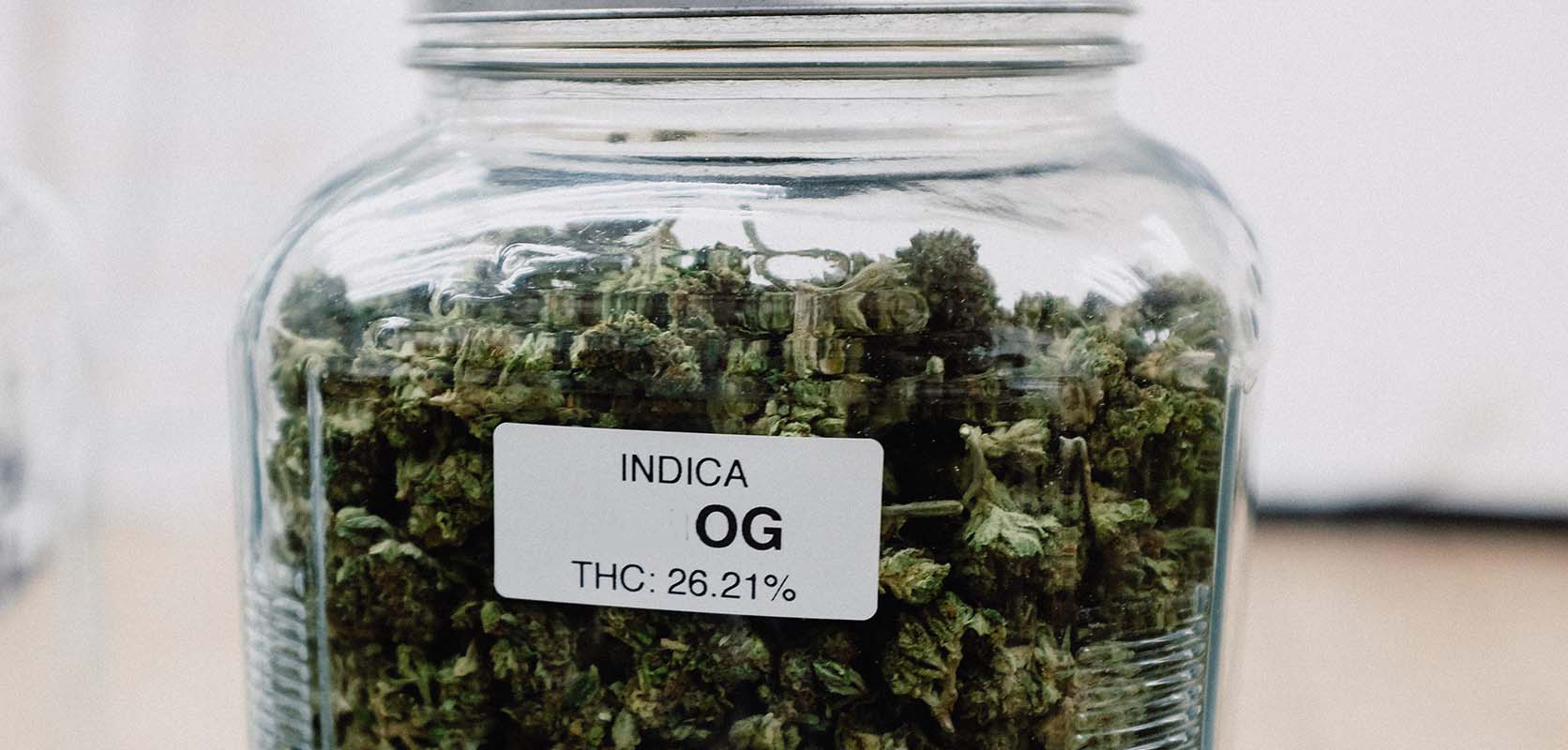 Indica Vs Sativa Vs Hybrids Is This Classification Necessary? Buy Weed Online.