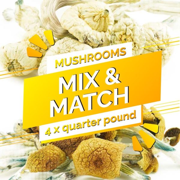 Buy Build Your Own Mushrooms Pound 4 x 112g online Canada